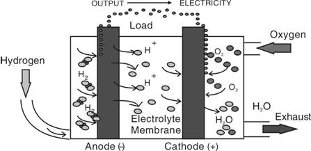 燃料电池的工作原理