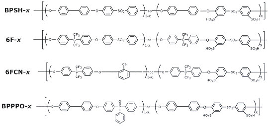 无氟质子交换膜的结构示意图